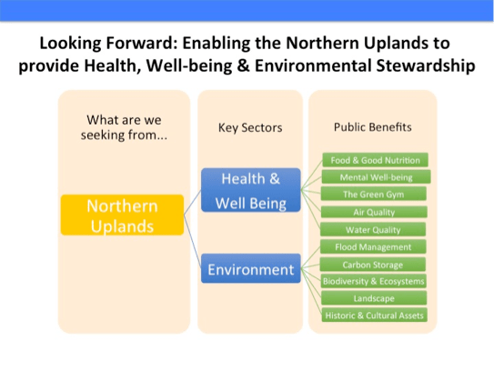 helath-and-well-being-image-nu